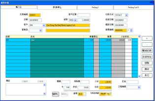 會計、核數與簿記 數字化時代的技術支持與軟件開發